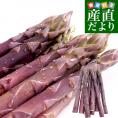 北海道より産地直送 赤井川村滝本農場の有機JAS　紫アスパラ「 カルデラの紫宮女」 3Lサイズ　約500g入り 送料無料 アスパラガス ※クール便発送