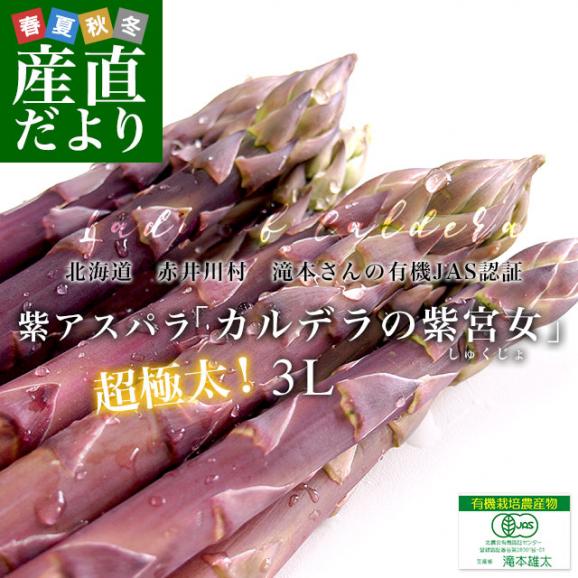 北海道より産地直送 赤井川村滝本農場の有機JAS　紫アスパラ「 カルデラの紫宮女」 3Lサイズ　約500g入り 送料無料 アスパラガス ※クール便発送02