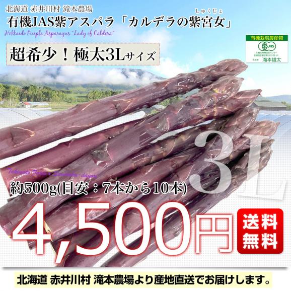 北海道より産地直送 赤井川村滝本農場の有機JAS　紫アスパラ「 カルデラの紫宮女」 3Lサイズ　約500g入り 送料無料 アスパラガス ※クール便発送03