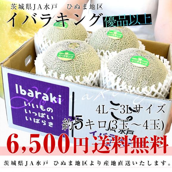茨城県より産地直送 JA水戸　ひぬま地区 イバラキング 優品以上 約5キロ(3玉から4玉) 3Lから4Lサイズ 送料無料 メロン めろん 青肉メロン 青肉03