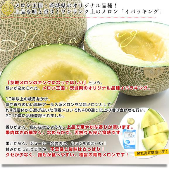 茨城県より産地直送 JA水戸ひぬま イバラキング 優品以上 5キロ箱(3玉から4玉) 3Lから4Lサイズ 送料無料 メロン めろん 青肉メロン 青肉04