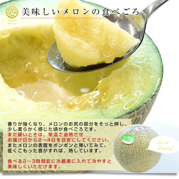 茨城県より産地直送 JA水戸ひぬま イバラキング 優品以上 5キロ箱(3玉から4玉) 3Lから4Lサイズ 送料無料 メロン めろん 青肉メロン 青肉06