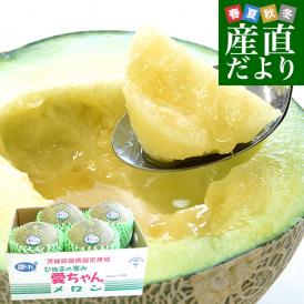 茨城県より産地直送 JA水戸ひぬま 最上等級品 愛ちゃんイバラキングメロン 4Ｌから3Ｌサイズ 5キロ箱 (3玉から4玉) 送料無料 メロン めろん