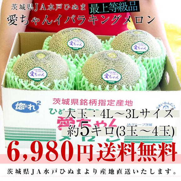 夕張メロンピュアゼリー 80g×6個 ［ホリ］:北の特急便 JRE MALL