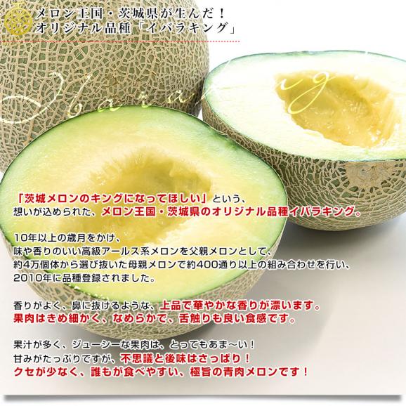 茨城県より産地直送 JA水戸ひぬま 最上等級品 愛ちゃんイバラキングメロン 4Ｌから3Ｌサイズ 5キロ箱 (3玉から4玉) 送料無料 メロン めろん04