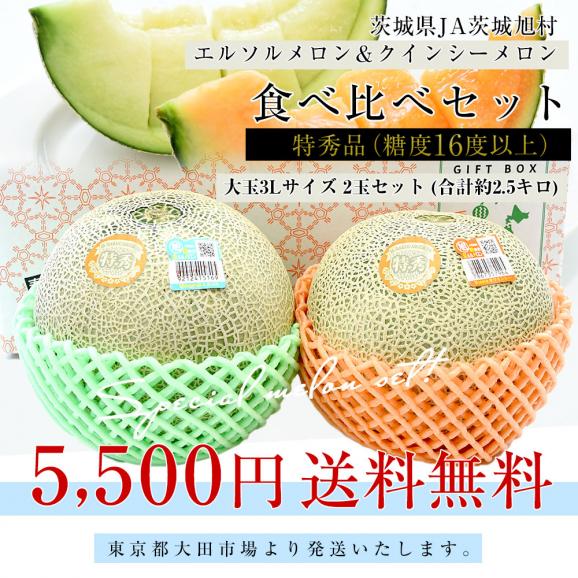 茨城県産 JA茨城旭村 エルソルメロン＆クインシーメロン 特秀品 大玉3Lサイズ 2玉セット (合計約2.5キロ) 送料無料 青肉 赤肉 メロンセット メロン めろん03