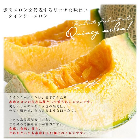 茨城県産 JA茨城旭村 エルソルメロン＆クインシーメロン 特秀品 大玉3Lサイズ 2玉セット (合計約2.5キロ) 送料無料 青肉 赤肉 メロンセット メロン めろん06