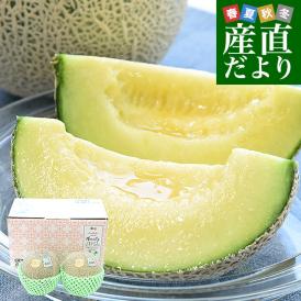 茨城県産 JA茨城旭村 エルソルメロン 特秀品 大玉3Lサイズ 2玉（合計約2.5キロ） 送料無料 青肉 メロン めろん 青肉メロン