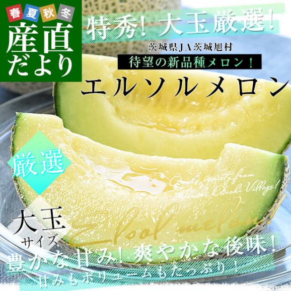 茨城県産 JA茨城旭村 エルソルメロン 特秀品 大玉3Lサイズ 2玉（合計約2.5キロ） 送料無料 青肉 メロン めろん 青肉メロン02