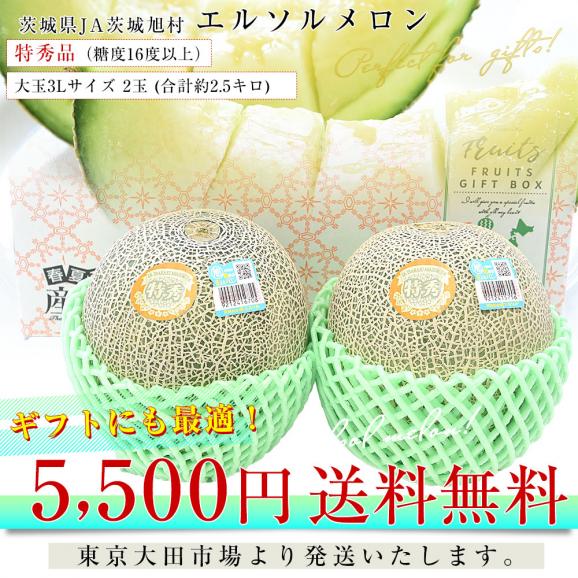 茨城県産 JA茨城旭村 エルソルメロン 特秀品 大玉3Lサイズ 2玉