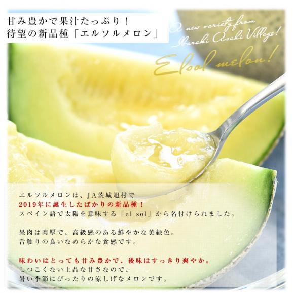 茨城県産 JA茨城旭村 エルソルメロン 特秀品 大玉3Lサイズ 2玉（合計約2.5キロ） 送料無料 青肉 メロン めろん 青肉メロン04