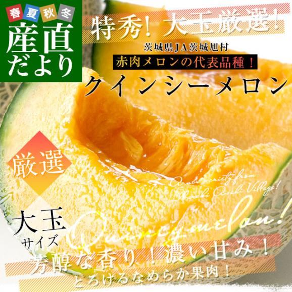 d_melon116_phb.jpg