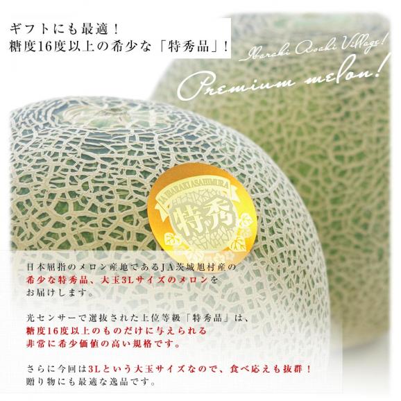 茨城県産 JA茨城旭村 クインシーメロン 特秀品 大玉3Lサイズ 2玉