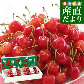 山形県産 JAみちのく村山 さくらんぼ 佐藤錦 マル秀品 Mサイズ以上 合計約400g（約200g×2パック） 送料無料 クール便 サクランボ 桜桃
