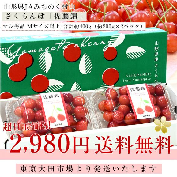 山形県産 JAみちのく村山 さくらんぼ 佐藤錦 マル秀品 Mサイズ以上 合計約400g（約200g×2パック） 送料無料 クール便 サクランボ 桜桃03