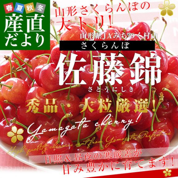 山形県産 JAみちのく村山 さくらんぼ 佐藤錦 秀品以上 大粒Lサイズ以上 約１キロ 送料無料 クール便 サクランボ 桜桃02