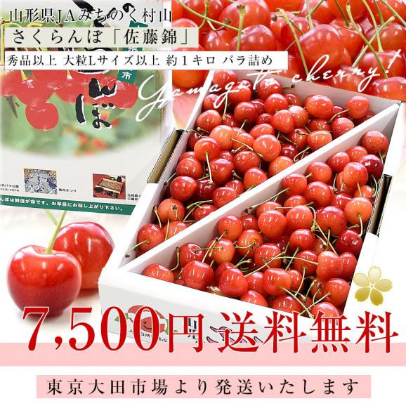 山形県産 JAみちのく村山 さくらんぼ 佐藤錦 秀品以上 大粒Lサイズ以上 約１キロ 送料無料 クール便 サクランボ 桜桃03
