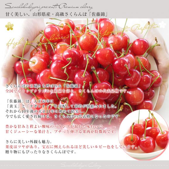 山形県産 JAみちのく村山 さくらんぼ 佐藤錦 秀品以上 大粒Lサイズ以上 約１キロ 送料無料 クール便 サクランボ 桜桃04