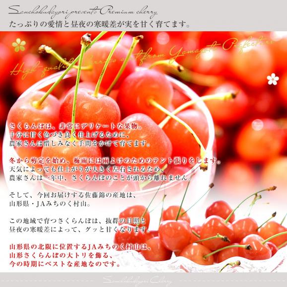 山形県産 JAみちのく村山 さくらんぼ 佐藤錦 秀品以上 大粒Lサイズ以上 約１キロ 送料無料 クール便 サクランボ 桜桃05