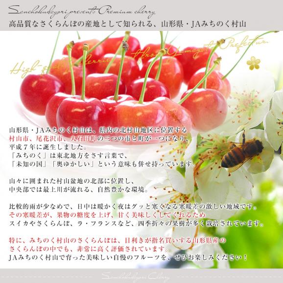 山形県産 JAみちのく村山 さくらんぼ 佐藤錦 秀品以上 大粒Lサイズ以上 約１キロ 送料無料 クール便 サクランボ 桜桃06