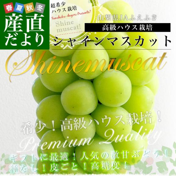 山梨産 JAふえふき 高級ハウス栽培 シャインマスカット 約1キロ（2房）送料無料  ぶどう ブドウ 種なしぶどう　ギフト 夏ギフト お中元 御中元02