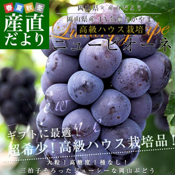岡山県産　JA全農おかやま 高級ハウス栽培 ニューピオーネ 青秀品以上 約1.2キロ（600g×2房）送料無料 ブドウ 葡萄 種なしぶどう ピオーネ 黒ぶどう ※クール便02