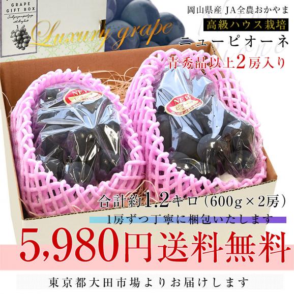 岡山県産　JA全農おかやま 高級ハウス栽培 ニューピオーネ 青秀品以上 約1.2キロ（600g×2房）送料無料 ブドウ 葡萄 種なしぶどう ピオーネ 黒ぶどう ※クール便03