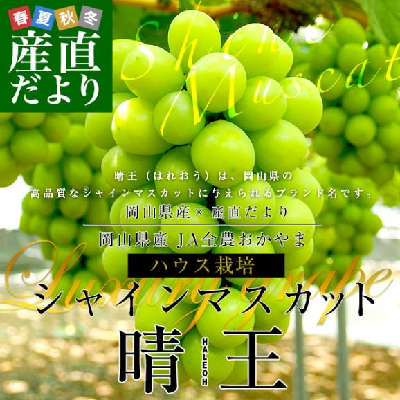 岡山県産JA全農おかやま ハウス栽培 シャインマスカット 晴王 青秀品 約1.2キロ(600g×2房) 送料無料 葡萄 ぶどう ブドウ クール便02