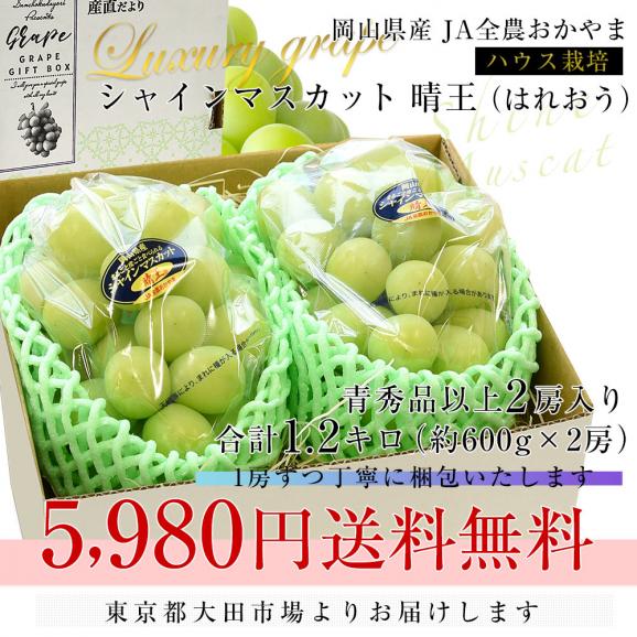 岡山県産JA全農おかやま ハウス栽培 シャインマスカット 晴王 青秀品 約1.2キロ(600g×2房) 送料無料 葡萄 ぶどう ブドウ クール便03