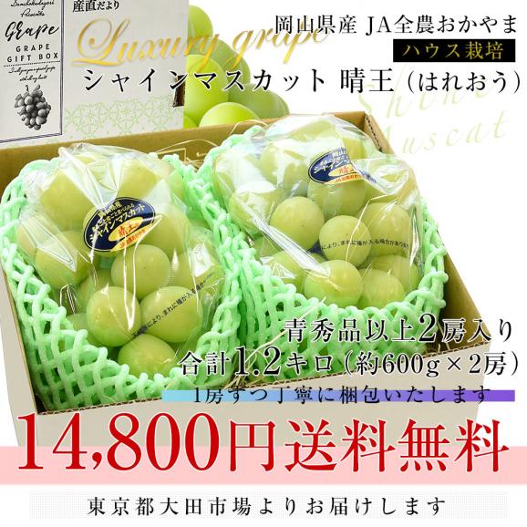 【お中元・夏ギフト】岡山県産 JA全農おかやま 高級ハウス栽培 シャインマスカット 晴王 青秀品 約1.2キロ(600g×2房) 送料無料 葡萄 ぶどう ブドウ クール便03