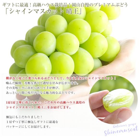 岡山県産JA全農おかやま ハウス栽培 シャインマスカット 晴王 青秀品 約1.2キロ(600g×2房) 送料無料 葡萄 ぶどう ブドウ クール便04