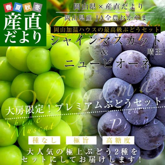 岡山県産　JA全農おかやま 高級ハウス栽培 シャインマスカット＆ニューピオーネセット 青秀品以上 大房 合計約1.2キロ (600g前後×2房)　送料無料 ブドウ 葡萄 フルーツギフト ※クール便02