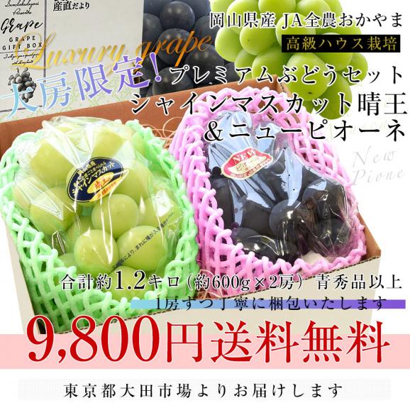 岡山県産　JA全農おかやま 高級ハウス栽培 シャインマスカット＆ニューピオーネセット 青秀品以上 大房 合計約1.2キロ (600g前後×2房)　送料無料 ブドウ 葡萄 フルーツギフト ※クール便03