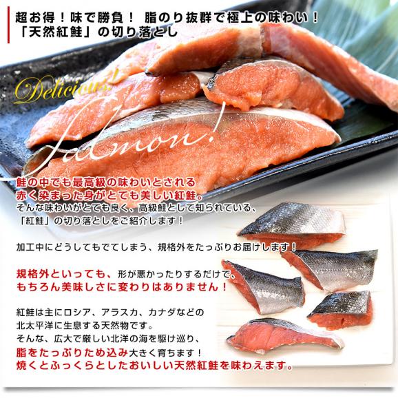 北海道より直送 北海道加工 訳あり 天然紅鮭の切り落とし 合計900ｇ（300ｇ×3入り）送料無料 紅鮭 鮭 さけ  ※クール冷凍便04
