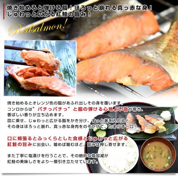 北海道より直送 北海道加工 訳あり 天然紅鮭の切り落とし 合計900ｇ（300ｇ×3入り）送料無料 紅鮭 鮭 さけ  ※クール冷凍便05