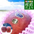 沖縄県より産地直送 JAおきなわ 美らマンゴー 最上級特A品 超大玉4Lから3Lサイズ 1キロ前後 （2玉入） 送料無料 沖縄マンゴー アップルマンゴー ちゅらマンゴー　ギフト 夏ギフト お中元 御中