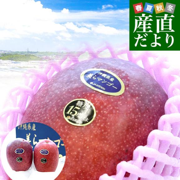 沖縄県より産地直送 JAおきなわ 美らマンゴー 最上級特A品 超大 沖縄県より産地直送 JAおきなわ 美らマンゴー 最上級特A品 超大
