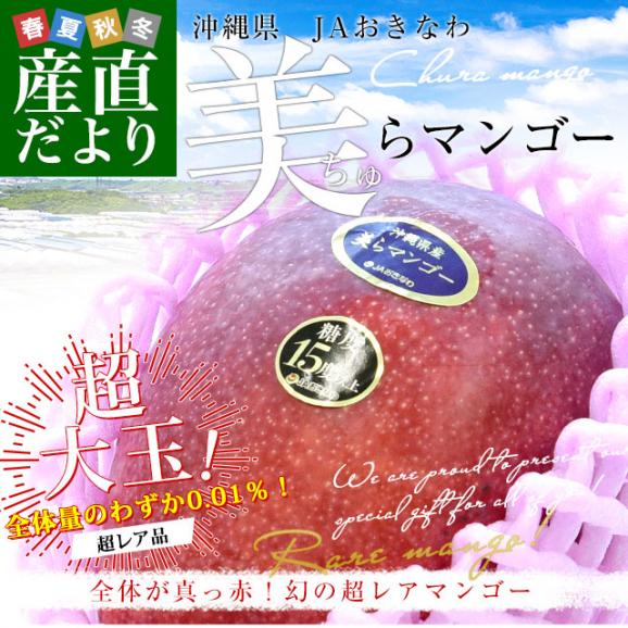 沖縄県より産地直送 JAおきなわ 美らマンゴー 最上級特A品 超大玉4Lから3Lサイズ 1キロ前後 (2玉入) 送料無料 沖縄マンゴー アップルマンゴー ちゅらマンゴー02