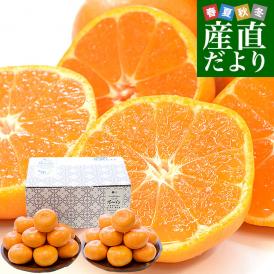 愛知県産 蒲郡温室みかん MからSサイズ 約2.4キロ(1.2キロ×2) 送料無料 蜜柑 ハウスみかん がまごおりミカン