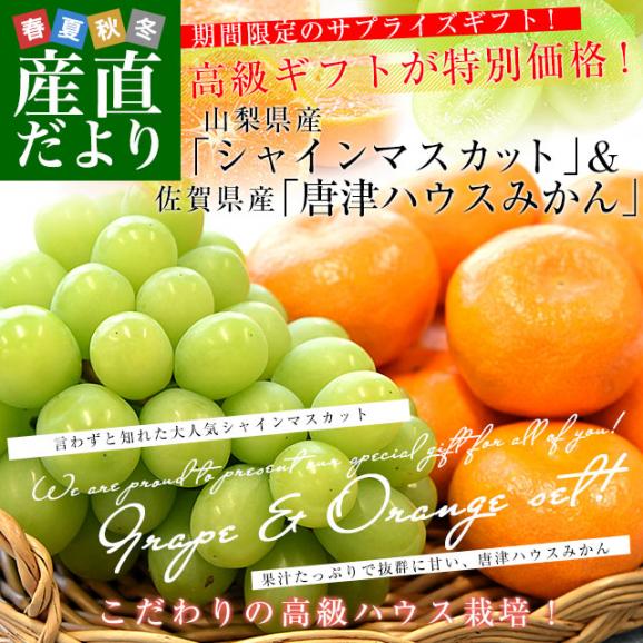 高級ハウス栽培！ぶどう＆みかんセット 山梨県産「シャインマスカット」約500g（1房）＆佐賀県産「唐津ハウスみかん」MからSサイズ 約1.2キロ化粧箱(12玉から15玉前後) 送料無料02