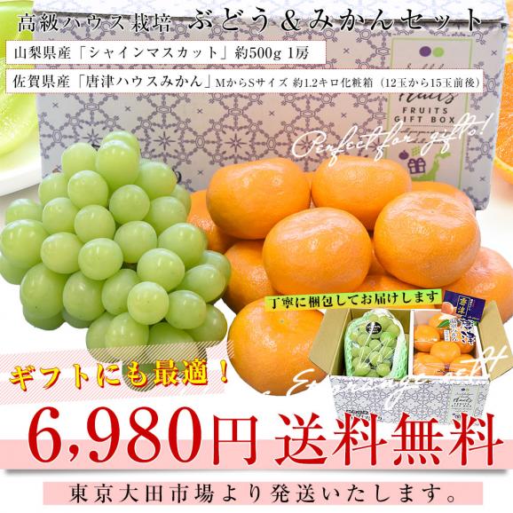 高級ハウス栽培！ぶどう＆みかんセット 山梨県産「シャインマスカット」約500g（1房）＆佐賀県産「唐津ハウスみかん」MからSサイズ 約1.2キロ化粧箱(12玉から15玉前後) 送料無料03