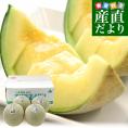 山形県産 JAそでうら アンデスメロン 優品以上 大玉3Lサイズ 約5キロ（4玉入り） 送料無料 メロン めろん ギフト 夏ギフト お中元 御中元