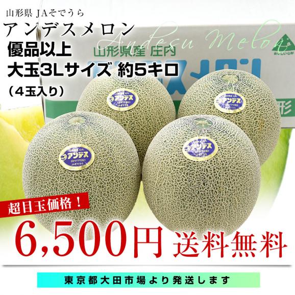山形県産 JAそでうら アンデスメロン 優品以上 大玉3Lサイズ 約5キロ（4玉入り） 送料無料 メロン めろん ギフト 夏ギフト お中元 御中元03