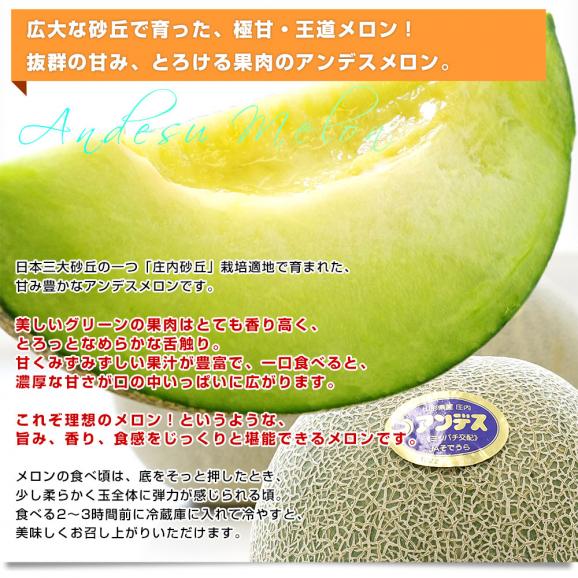山形県産 JAそでうら アンデスメロン 優品以上 大玉3Lサイズ 約5キロ（4玉入り） 送料無料 メロン めろん ギフト 夏ギフト お中元 御中元04