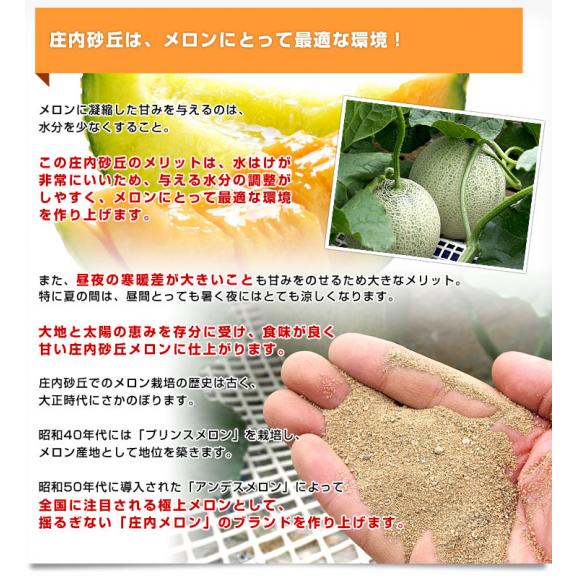 山形県産 JAそでうら アンデスメロン 優品以上 大玉3Lサイズ 約5キロ（4玉入り） 送料無料 メロン めろん ギフト 夏ギフト お中元 御中元06