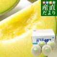 山形県 JAそでうら パンナメロン 優品以上 大玉3Lサイズ 約5キロ（4玉入り） 送料無料 メロン めろん 青肉メロン