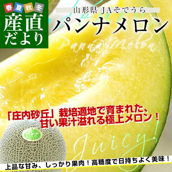 山形県産 JAそでうら パンナメロン 優品以上 大玉3Lサイズ 約5キロ（4玉入り） 送料無料 メロン めろん　ギフト 夏ギフト お中元 御中元02