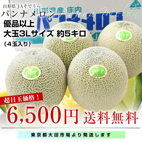 山形県産 JAそでうら パンナメロン 優品以上 大玉3Lサイズ 約5キロ（4玉入り） 送料無料 メロン めろん　ギフト 夏ギフト お中元 御中元03