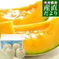 山形県 JAそでうら クインシーメロン 優品以上 大玉3Lサイズ 約5キロ（4玉入り） 送料無料 メロン めろん 赤肉メロン