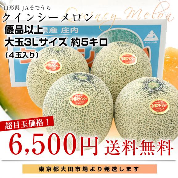 山形県産 JAそでうら クインシーメロン 優品以上 大玉3Lサイズ 約5キロ（4玉入り） 送料無料 メロン めろん　ギフト 夏ギフト お中元 御中元03